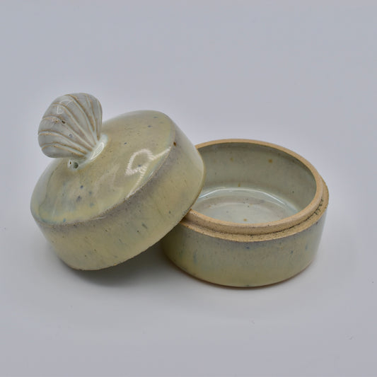 Sea Salt Jewelry Box
