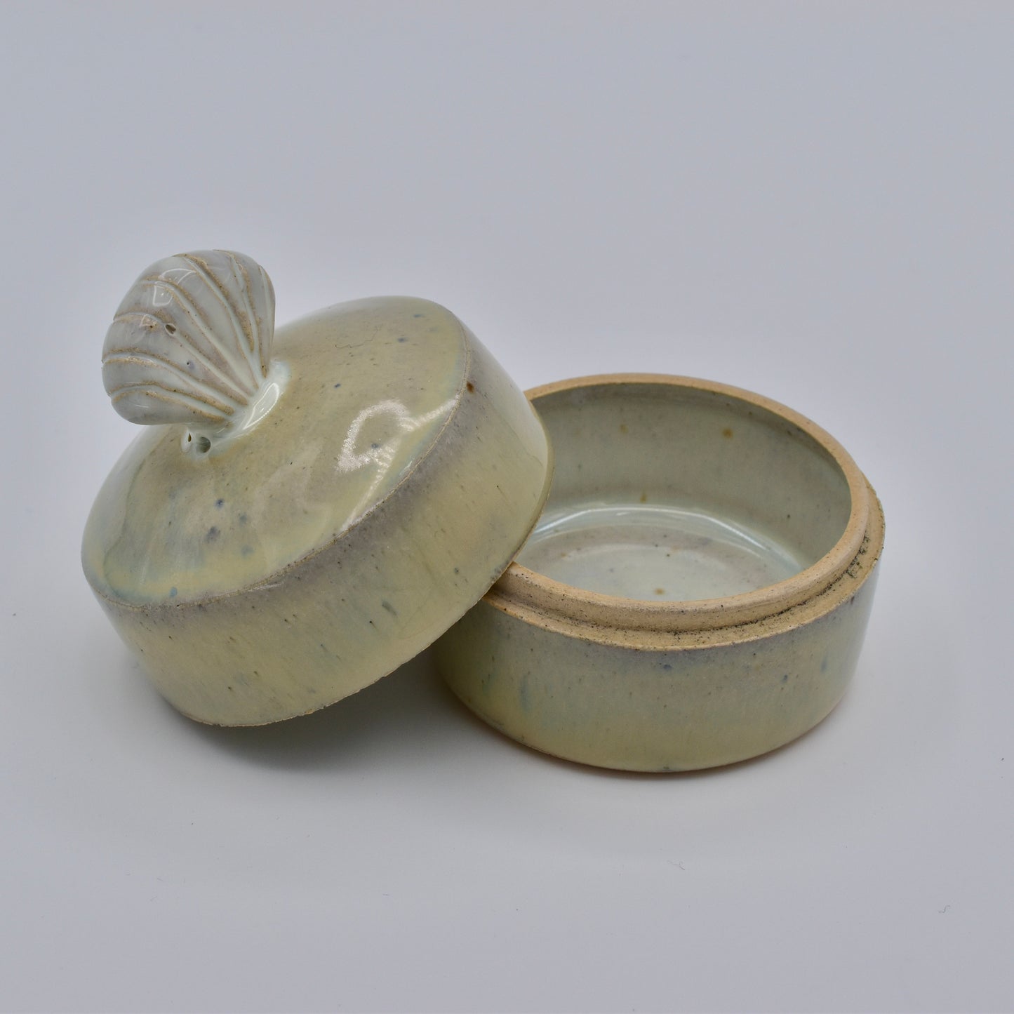 Sea Salt Jewelry Box