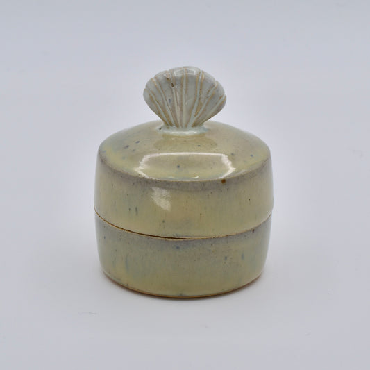 Sea Salt Jewelry Box